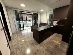 Hyll On Holland (D10), Condominium #535593591
